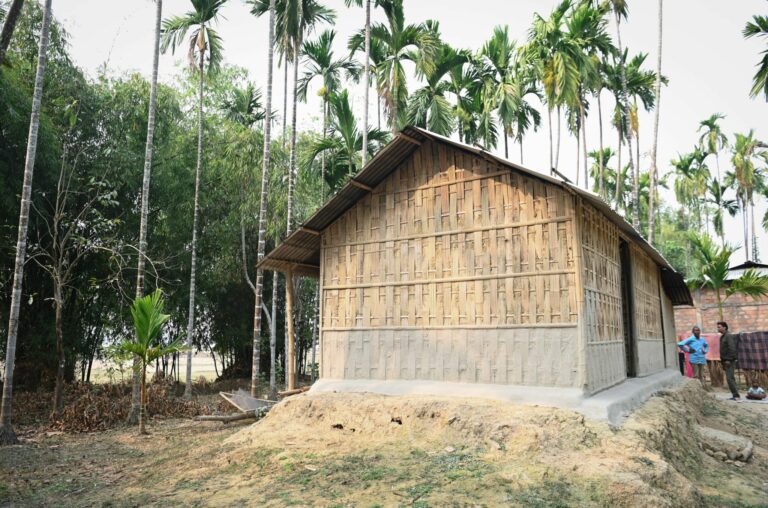 Assam 11 Scaled 768x508
